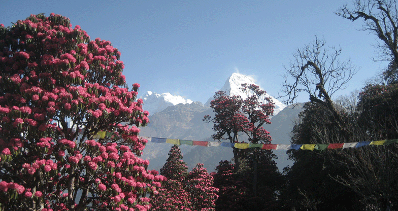 Annapurna Panorama Trek