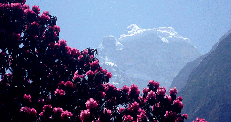 Everest Panorama Trek5