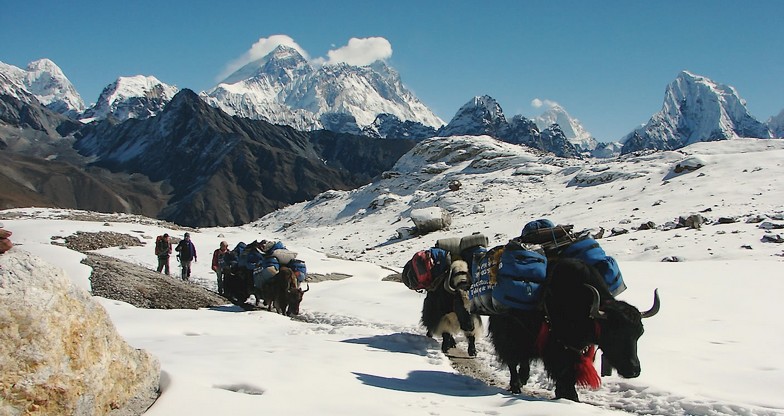 12 days Gokyo-Renjo-La Pass Trek3