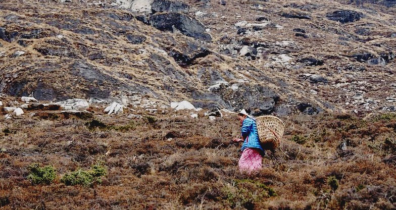 12 days Gokyo-Renjo-La Pass Trek4