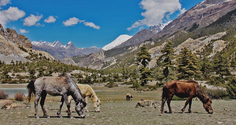 17 days Langtang Circuit Trek3