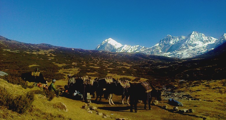 27 days Kanchenjunga Trekking (4)