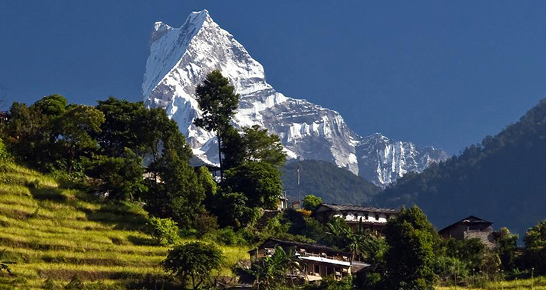 8 days Ghorepani-Poonhill Trek (3)