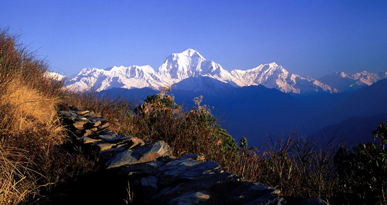 8 days Ghorepani-Poonhill Trek (5)