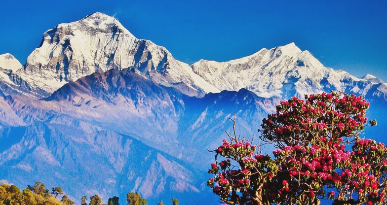 9 days Annapurna Panorama Trek