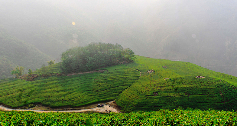 A Day Hike to Phulchowki Kathmandu (5)