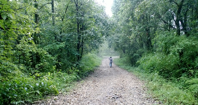 A Day Hike to Phulchowki Kathmandu