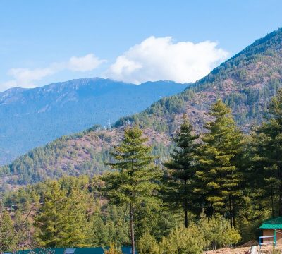 Bhutan Nature Tours