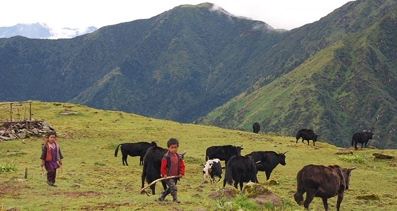 Chepang Hill Trek1