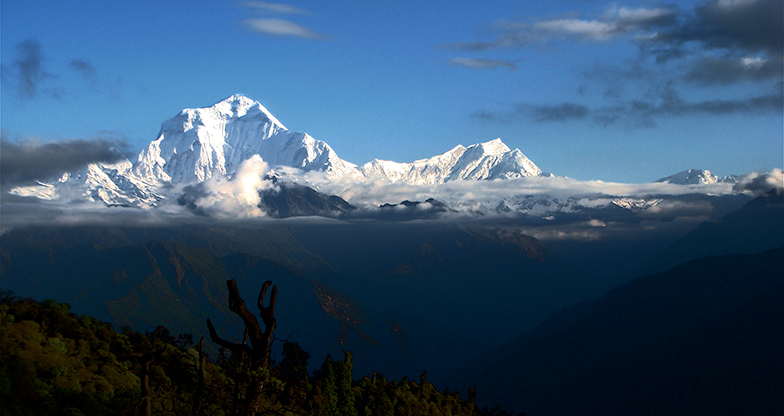 Dhaulagiri Circuit Trekking