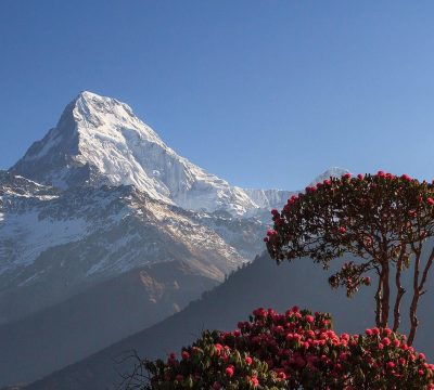 Easy Treks in Nepal