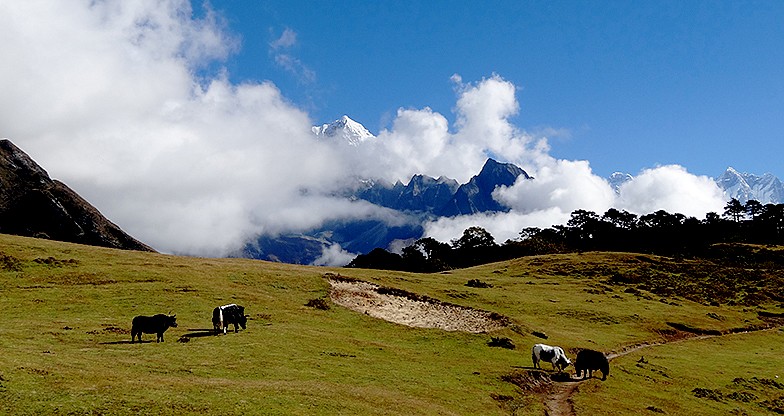 Everest Panorama Trek4