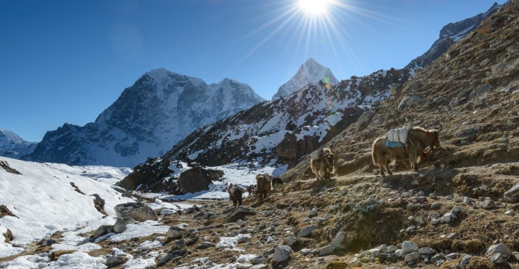 Everest Three High Passes Trekking