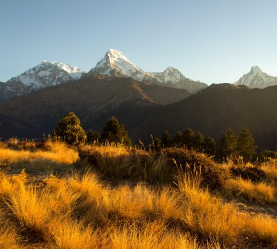 Ghorepani Poon Hill Trek Cost