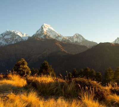 Ghorepani-Poonhill-Ghandruk Trek