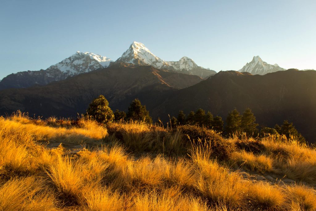 Ghorepani-Poonhill Trek