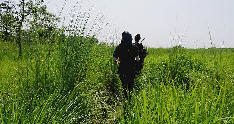 Jungle Safari at Chitwan National Park (3)