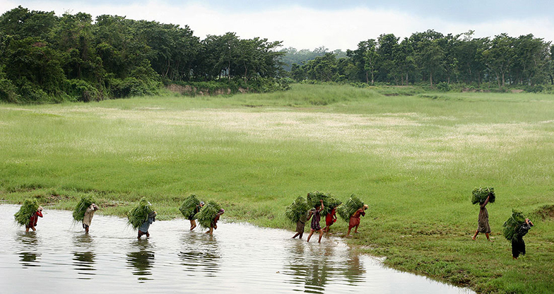 Kathmandu Chitwan Pokhara Tour