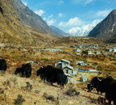 Langtang Village Before and After the Earthquake