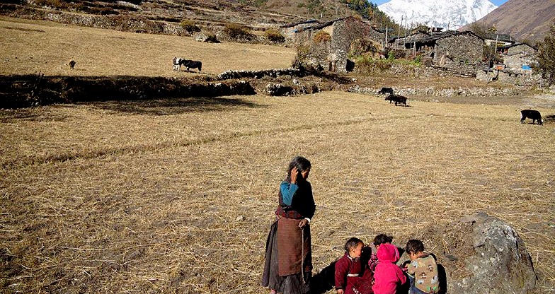 Manaslu Circuit Trek (7)