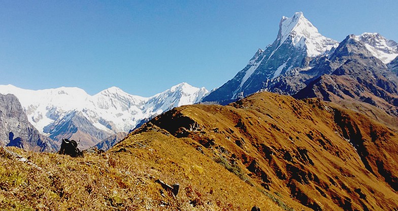 Mardi Himal Trek