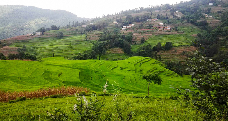 Nagarkot to Changunarayan Hike (2)