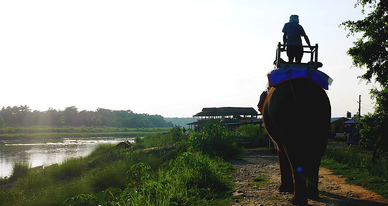 Chitwan Wildlife Tour