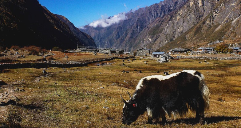 Tamang Heritage Trek