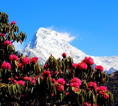 Trekking Season in Nepal