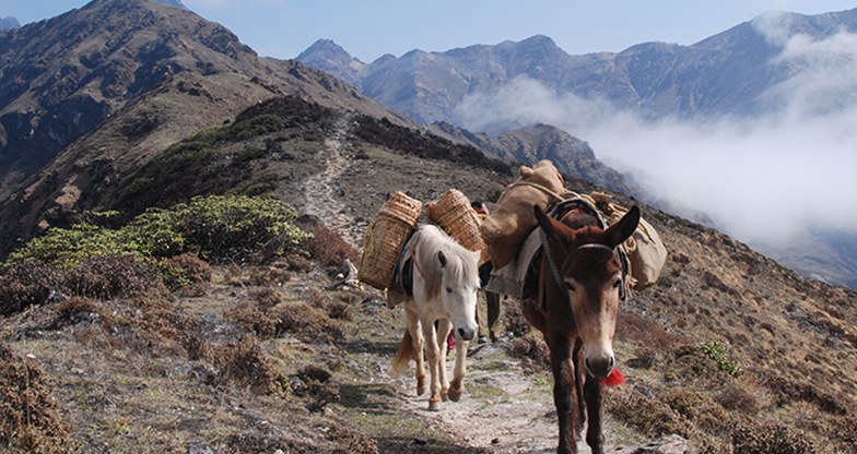 Trekking to Bhumthang-Ura