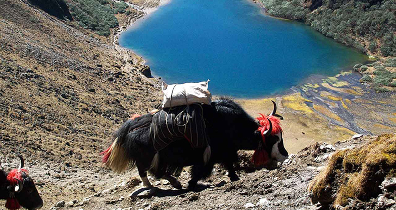 Trekking to Bhumthang-Ura