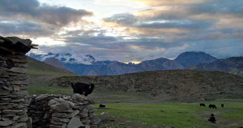 Upper Dolpo Trek