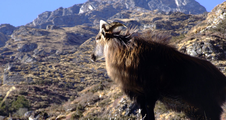 Upper Dolpo Trek