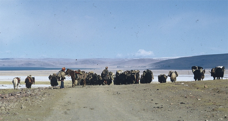 Mount Kailash Mansarovar Tour